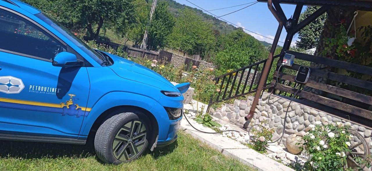 Pensiunea Gradinarilor Cu Ciubar Si Statie De Incarcare Electrica Auto Comanesti (Mehedinti) Exterior foto